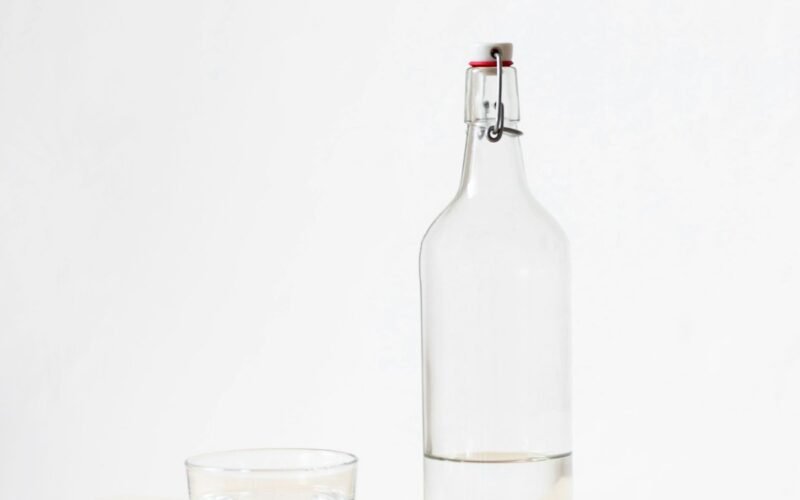 Verre d'eau fraîche avec rondelles de citron