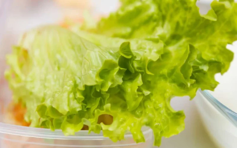 Comment garder une salade verte fraîche quand le frigo est plein ?