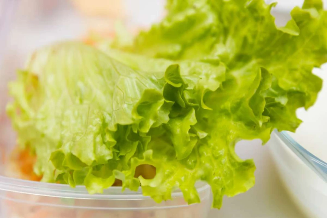 Comment garder une salade verte fraîche quand le frigo est plein ?
